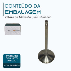 Valvula de ADMISSÃO BMW N52 3.0 (1un) - Grobben