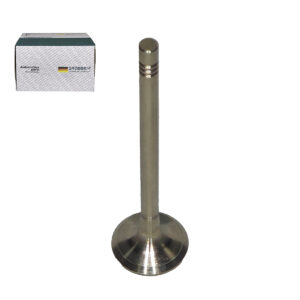 Valvula de EXAUSTAO AUDI EA211 1.4T (1un) - Grobben