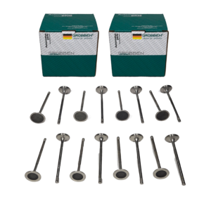 COMBO Valvula de Admissão + Exaustão BMW N20 (16un) - Grobben