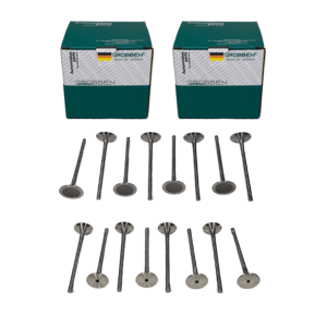 COMBO Valvula de Admissão + Exaustão AUDI EA888 2 Gen (16un) - Grobben
