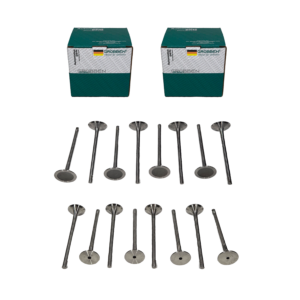 COMBO Valvula de Admissão + Exaustão AUDI EA888 3 Gen (16un) - Grobben